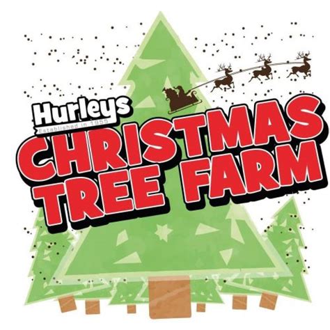 Hurley's Christmas Tree Farm, Battlesbridge & Pumpkin Farm